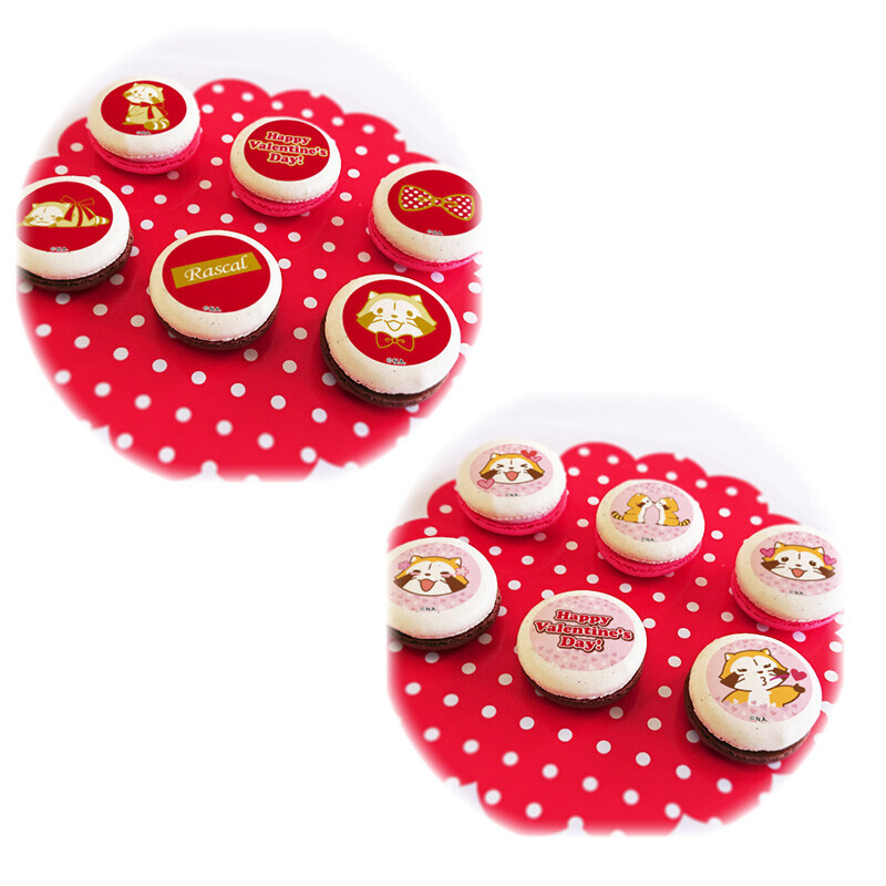 バレンタインプリマカロン6個セット(2025) 商品画像