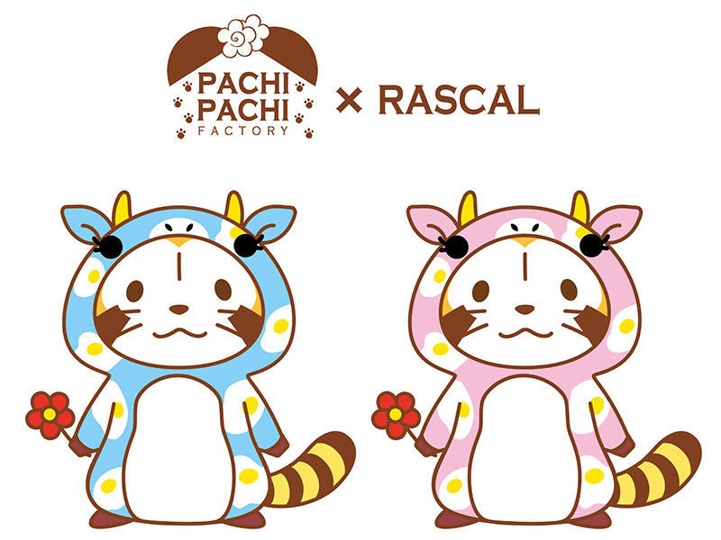 pachipachi_01.jpg