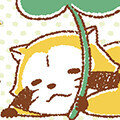 画像 PUCHI RASCAL SEASONS × 文教堂・アニメガ