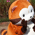 画像 KAOFES2019、せいせきみらいフェスティバルにラスカル登場！