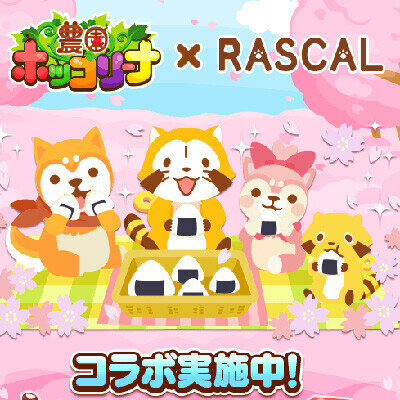 画像 農園ホッコリーナにてラスカルとコラボイベント開催！