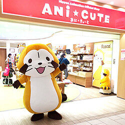 画像 5月17日、ANi★CUTE（あに★きゅーと）にプチラスカルが遊びに来ます！