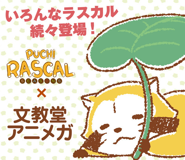 Puchi Rascal Seasons 文教堂 アニメガ ニュース イベント あらいぐまラスカル公式サイト